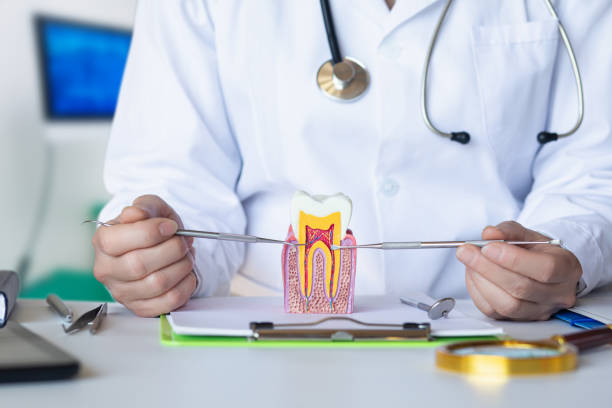 Best Emergency Treatment for Toothache in Ckam Housing, HI
